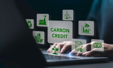Understanding the Basics of Carbon Credits and Their Role in the .
